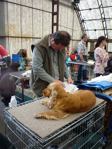 narodka boleslav 065.jpg